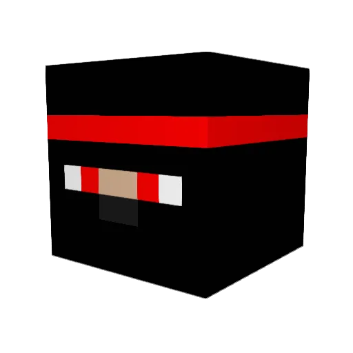 Timmy3005 Minecraft avatar head, 3D render