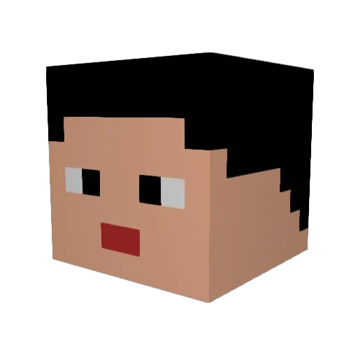 Timmy598 Minecraft avatar head, 3D render