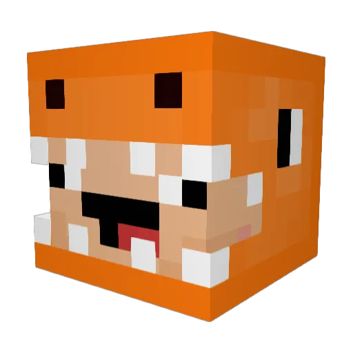 TimmyBumBum Minecraft avatar head, 3D render
