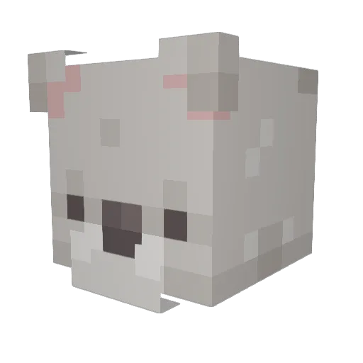 TimmyJWolf Minecraft avatar head, 3D render