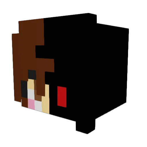 TimmyLevy8 Minecraft avatar head, 3D render