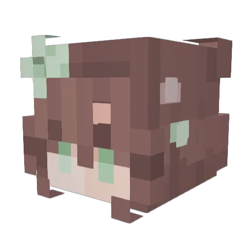 TimmyPro500 Minecraft avatar head, 3D render