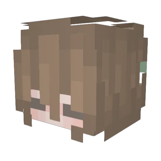 TimmyTimChalamet Minecraft avatar head, 3D render