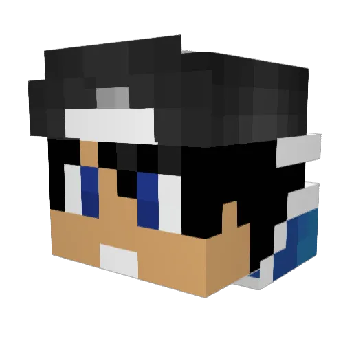 Timmy_070 Minecraft avatar head, 3D render