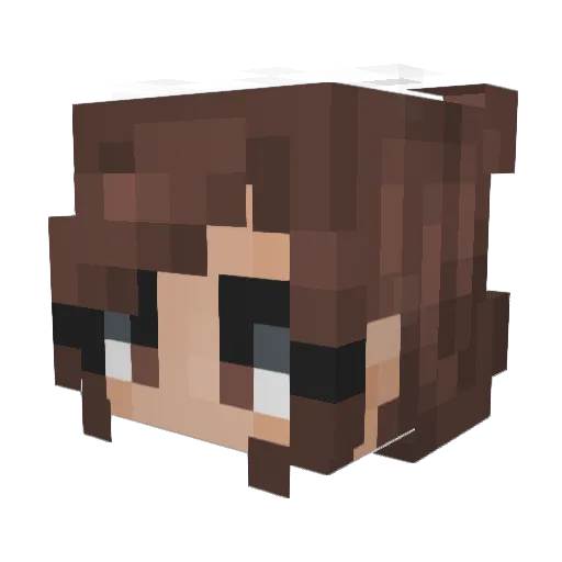 Timmy_Craft Minecraft avatar head, 3D render