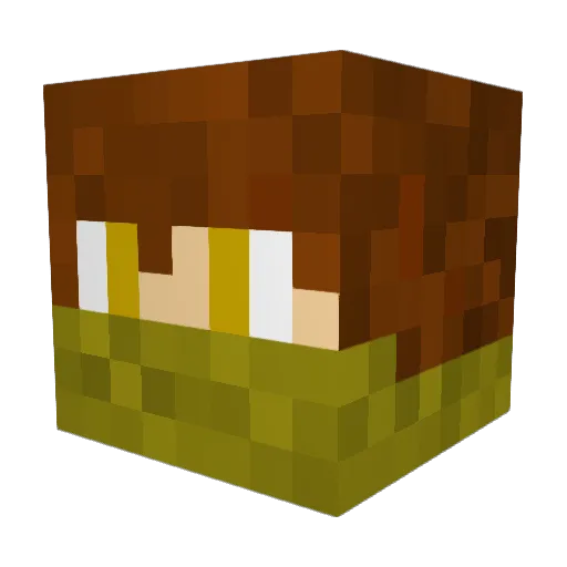 Timmy_Kitty Minecraft avatar head, 3D render
