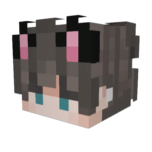 Timmyboi123 Minecraft avatar head, 3D render