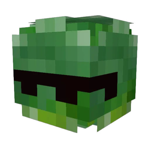 Timmylon12 Minecraft avatar head, 3D render
