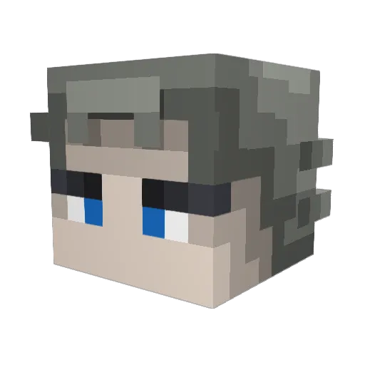 Timmypoops Minecraft avatar head, 3D render