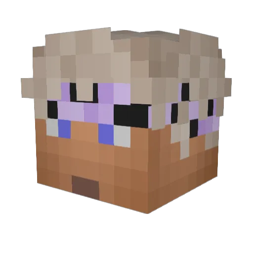 Timmywity Minecraft avatar head, 3D render