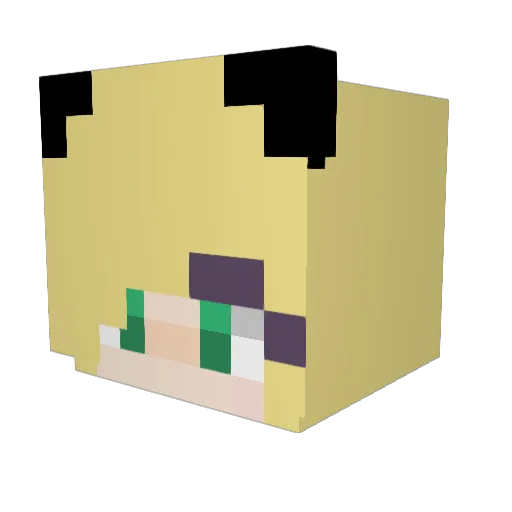 Timmyxyz Minecraft avatar head, 3D render