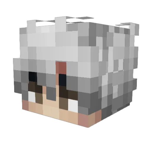 Timmyyyyyyyyyy Minecraft avatar head, 3D render