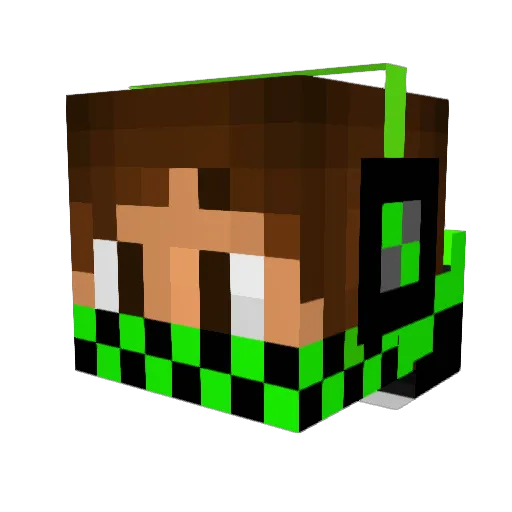 Timo11 Minecraft avatar head, 3D render