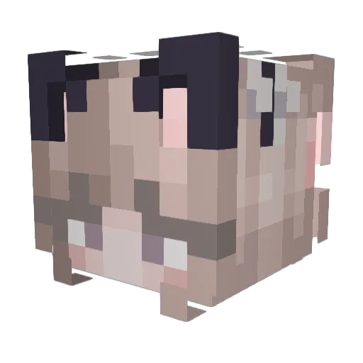 Timo3568 Minecraft avatar head, 3D render