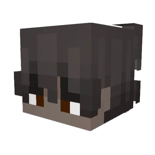 TimoCanpy Minecraft avatar head, 3D render