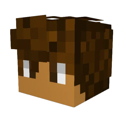 Timo_Gaming55YT Minecraft avatar head, 3D render