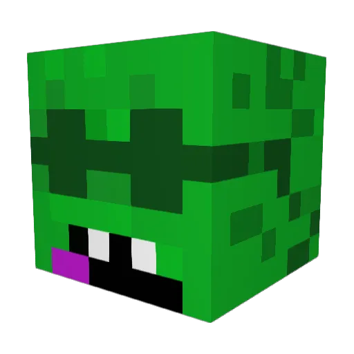 Timo_Turtle Minecraft avatar head, 3D render