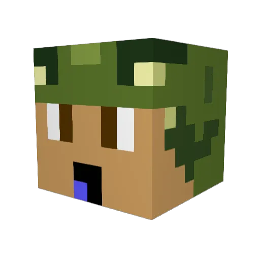 Timocks Minecraft avatar head, 3D render