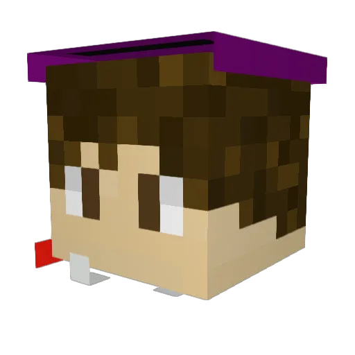 Timodad Minecraft avatar head, 3D render