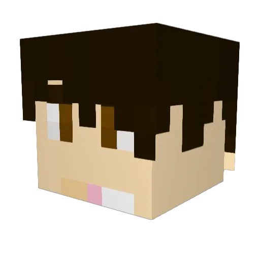 TimoliaExpertDE Minecraft avatar head, 3D render