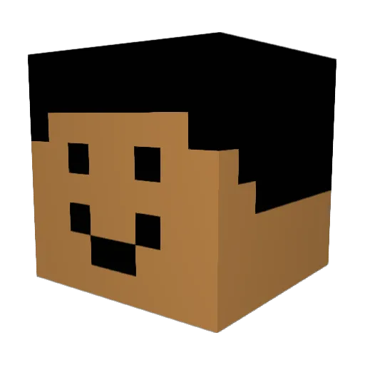 Timon1254 Minecraft avatar head, 3D render
