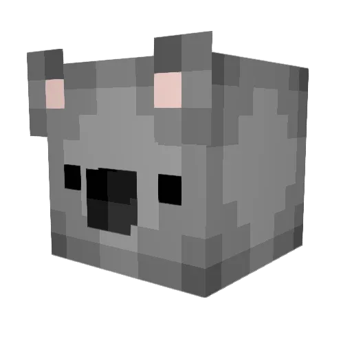 TimonGames1213 Minecraft avatar head, 3D render