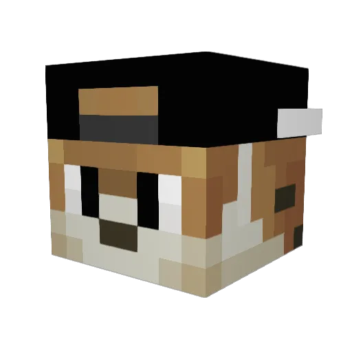 TimonTheLord Minecraft avatar head, 3D render