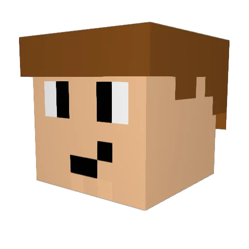 Timon_55 Minecraft avatar head, 3D render