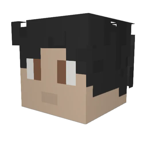 Timontheking Minecraft avatar head, 3D render