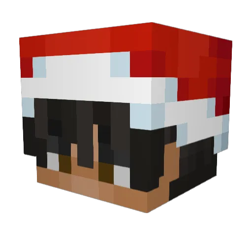 Timonxxx Minecraft avatar head, 3D render
