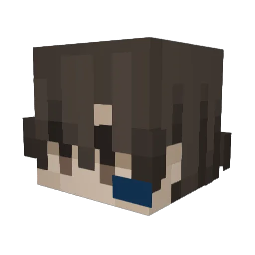 Timor409 Minecraft avatar head, 3D render