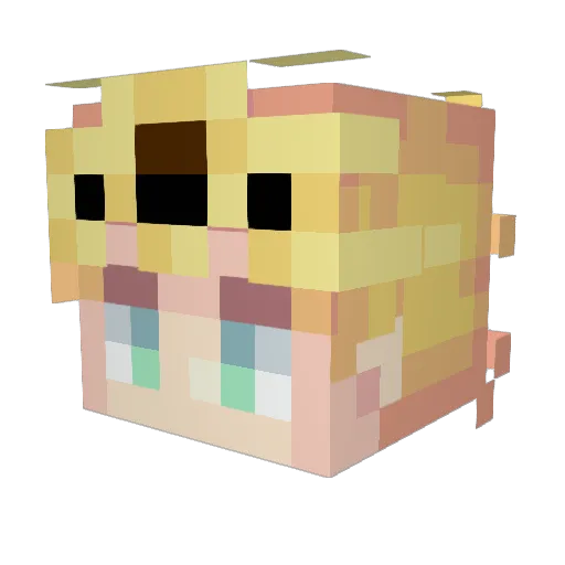 Timorex01 Minecraft avatar head, 3D render