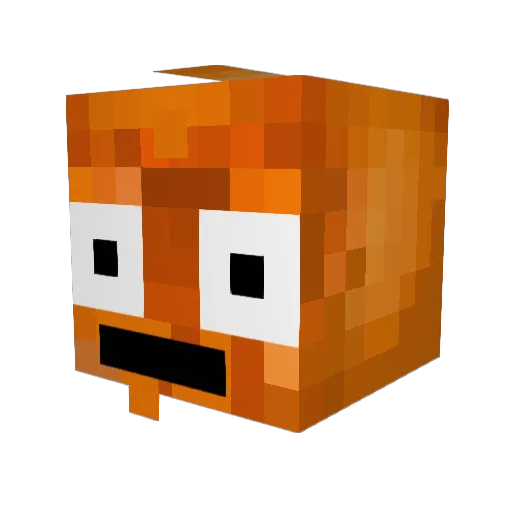 TimorousSole Minecraft avatar head, 3D render
