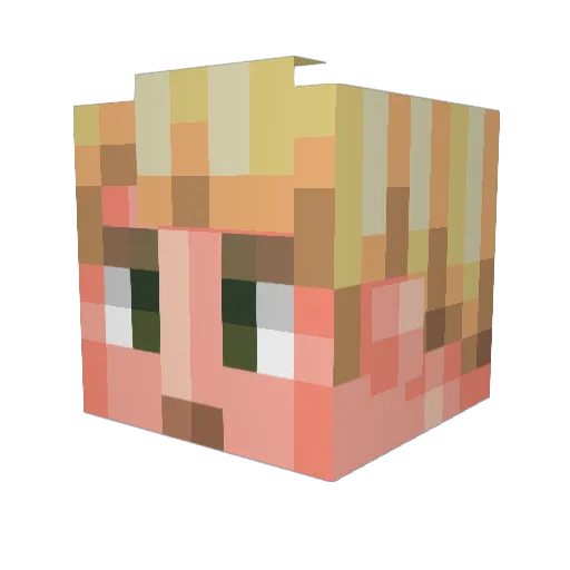 Timosch8 Minecraft avatar head, 3D render