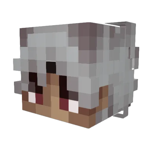 Timothe Minecraft avatar head, 3D render