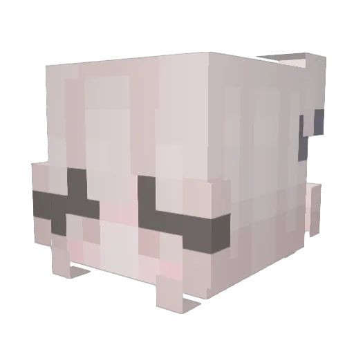 TimotheeIV Minecraft avatar head, 3D render