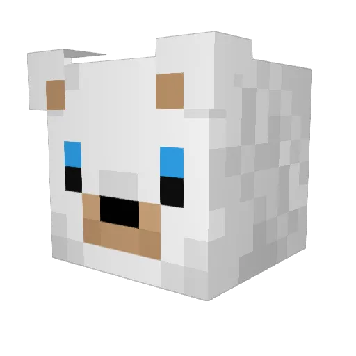 Timotheit4 Minecraft avatar head, 3D render