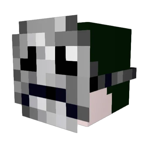Timothy0319 Minecraft avatar head, 3D render