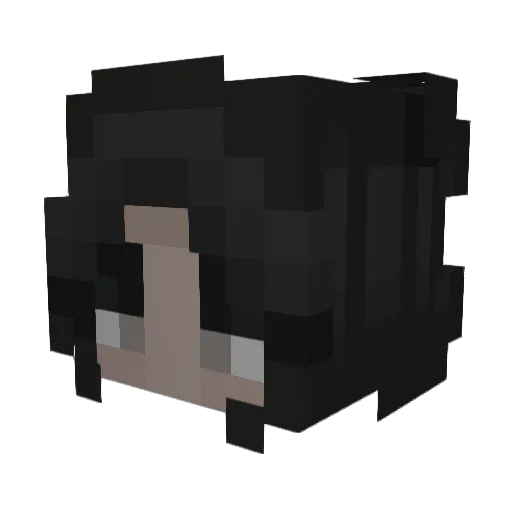 Timothy Minecraft avatar head, 3D render