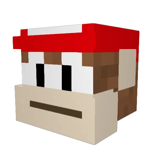 TimothyAnderson Minecraft avatar head, 3D render