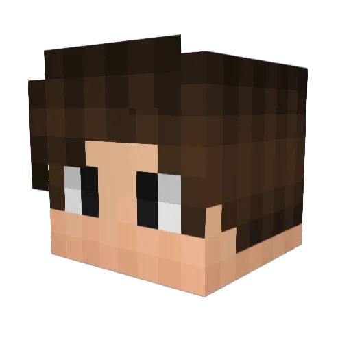 TimothyGabbana Minecraft avatar head, 3D render