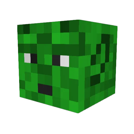 TimothyOb11 Minecraft avatar head, 3D render