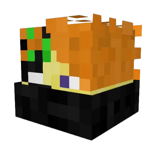 TimothySteve Minecraft avatar head, 3D render
