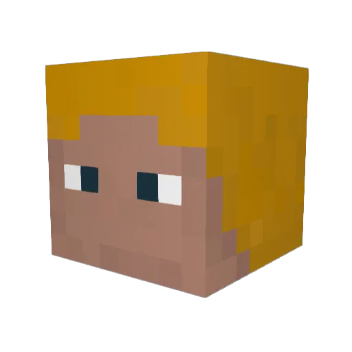 TimothyTime Minecraft avatar head, 3D render