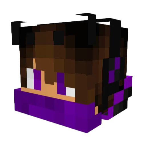 TimothyXin Minecraft avatar head, 3D render