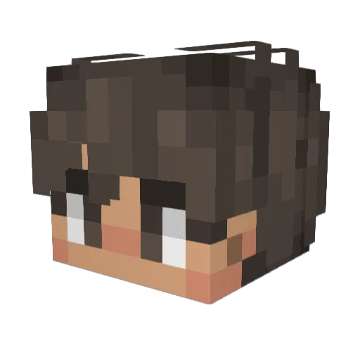 Timothy_OwO1201 Minecraft avatar head, 3D render