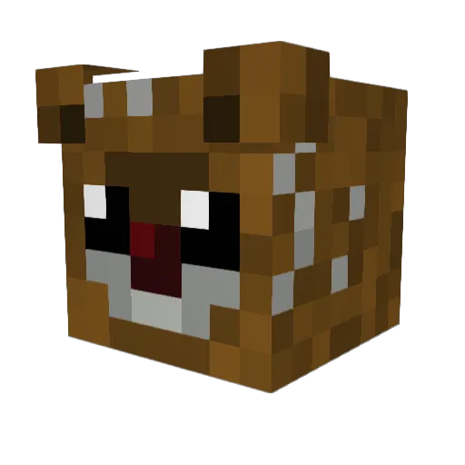 Timothyeffe Minecraft avatar head, 3D render