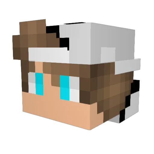 Timotje7 Minecraft avatar head, 3D render