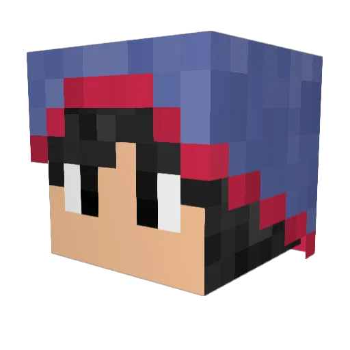 Timotree1 Minecraft avatar head, 3D render