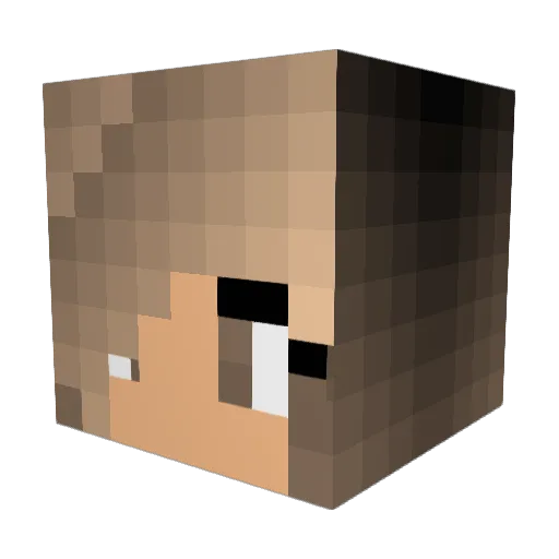 Timpalimpalo07 Minecraft avatar head, 3D render